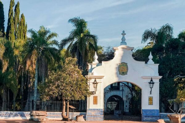 San Pedro de Timote - Imagen 6