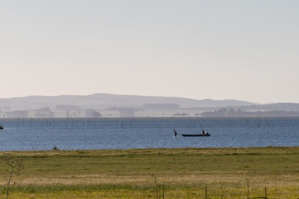 Rocha: Cabo Polonio y Bosque de Ombúes - Imagen 3