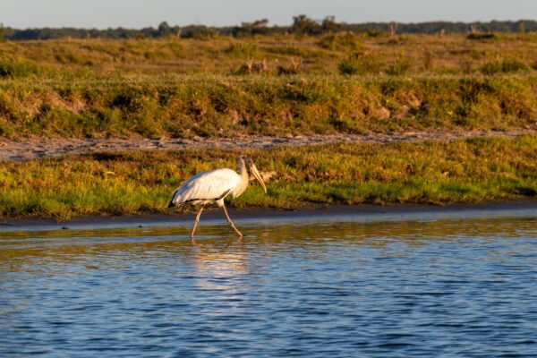 Rocha: Cabo Polonio y Bosque de Ombúes - Imagen 2